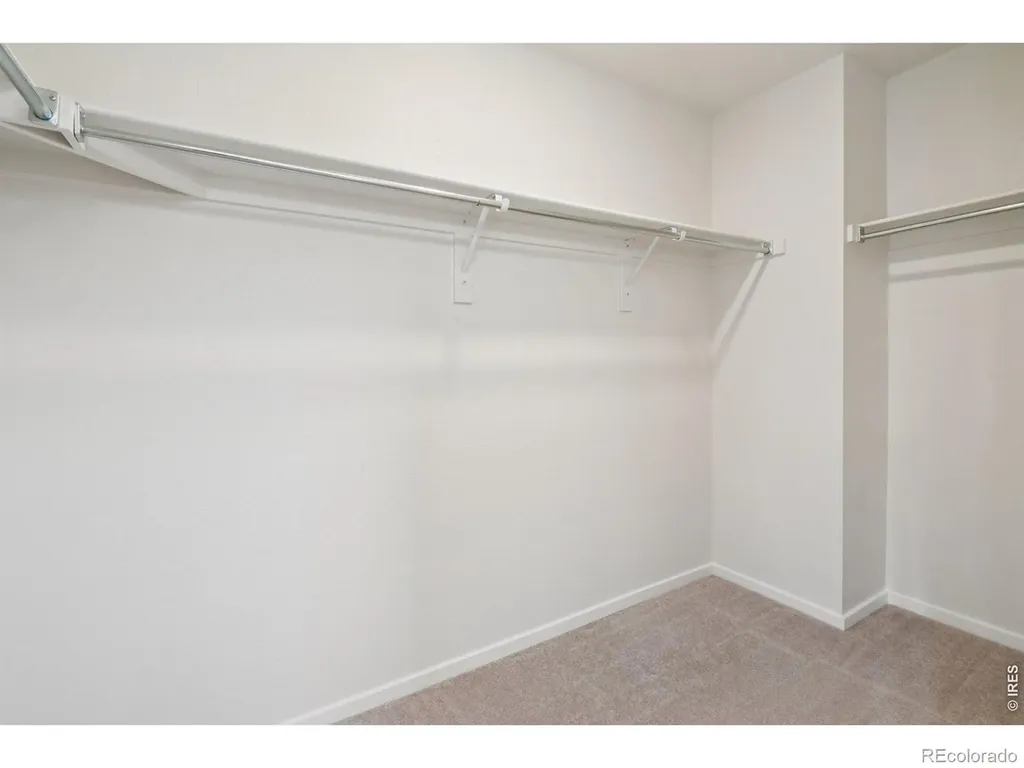 5672 Jedidiah Drive Timnath CO 80547
