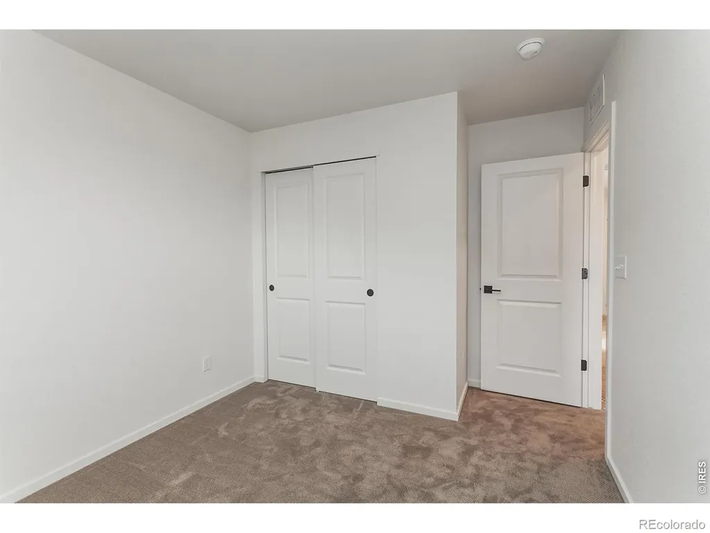 947 Trumpet Lane Windsor CO 80550