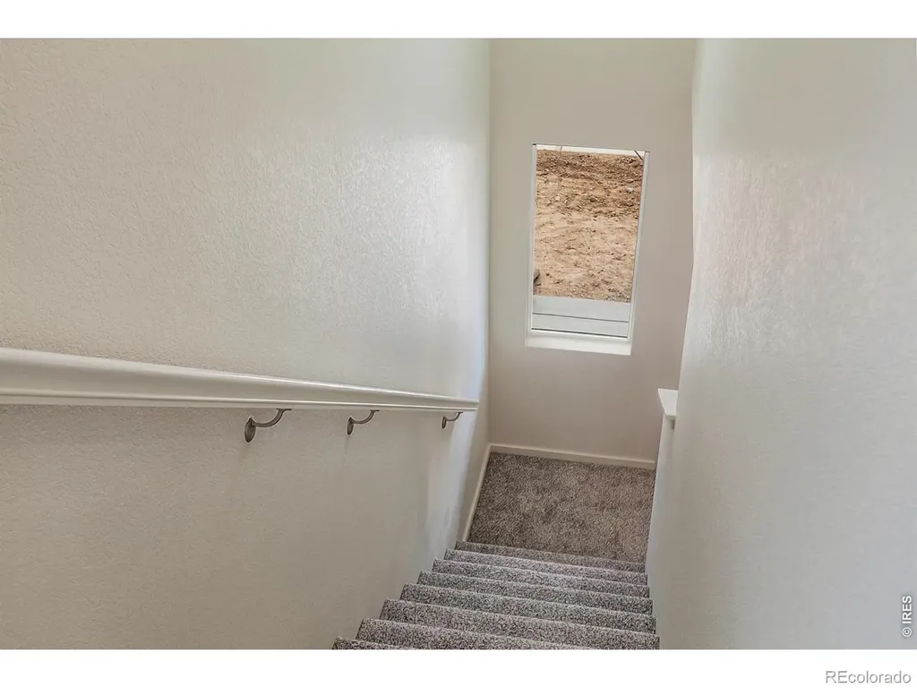 947 Trumpet Lane Windsor CO 80550