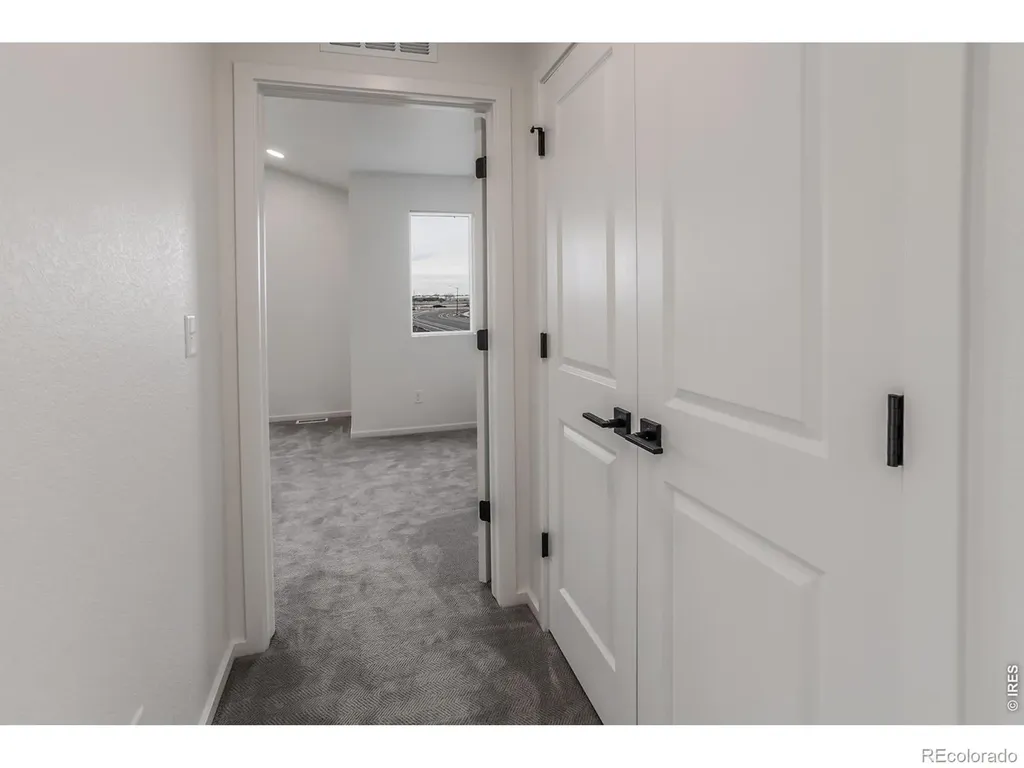 947 Trumpet Lane Windsor CO 80550