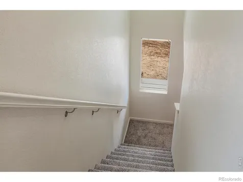 947 Trumpet Lane Windsor CO 80550
