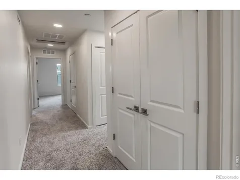 947 Trumpet Lane Windsor CO 80550