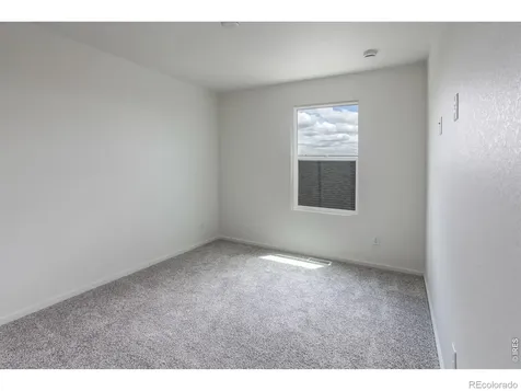947 Trumpet Lane Windsor CO 80550