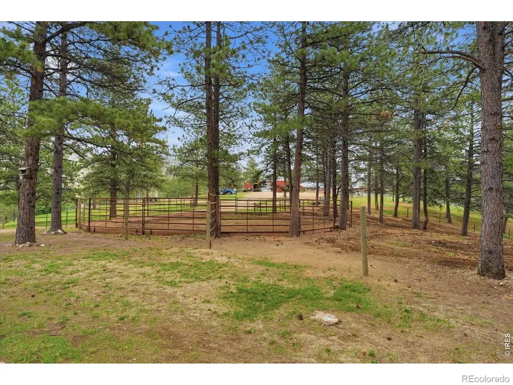 89 Aspen Leaf Lane Bellvue CO 80512
