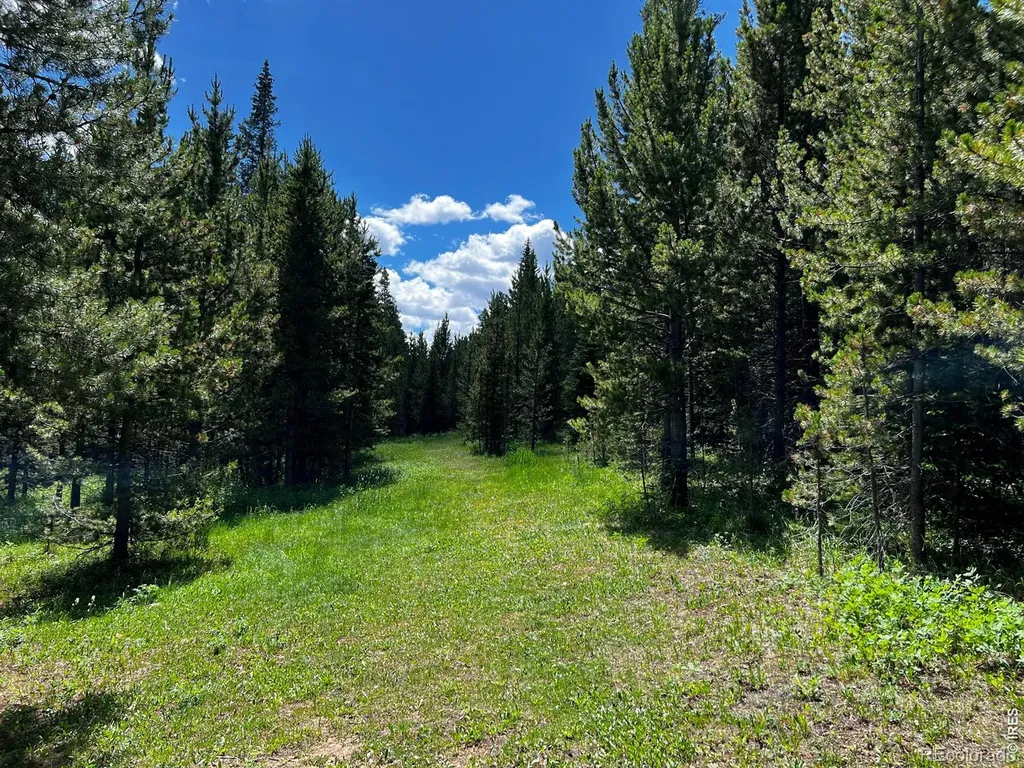 10000 Forest Road Red Feather Lakes CO 80545