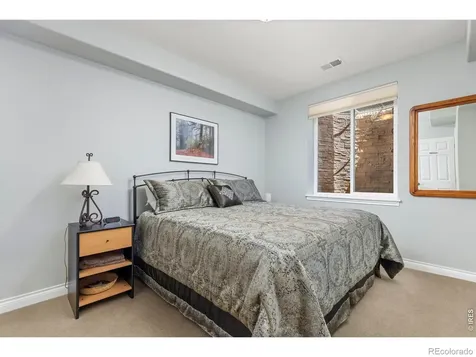 7023 Aladar Drive Windsor CO 80550