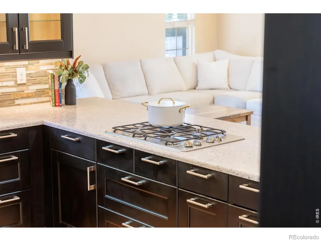 2513 Falcon Drive Longmont CO 80503