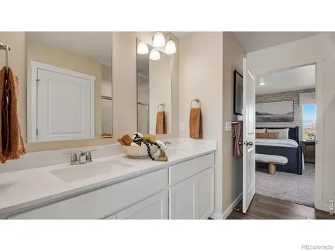 842 Trumpet Lane Windsor CO 80550