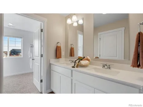 842 Trumpet Lane Windsor CO 80550