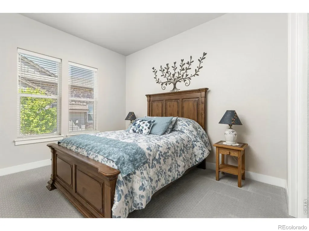 6241 Vernazza Way Windsor CO 80550