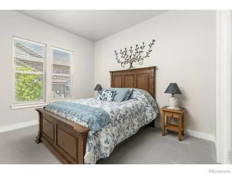 6241 Vernazza Way Windsor CO 80550