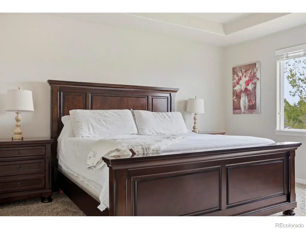 6987 Meade Street Wellington CO 80549