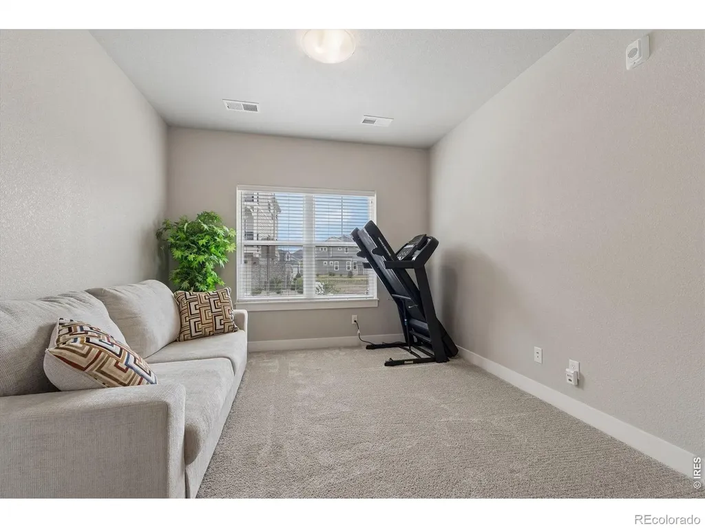3425 Triano Creek Drive Loveland CO 80538