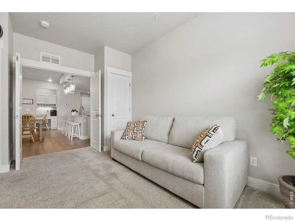 3425 Triano Creek Drive Loveland CO 80538