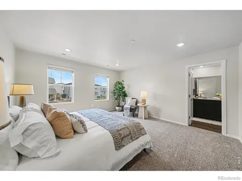 1622 Riverplace Drive Windsor CO 80550