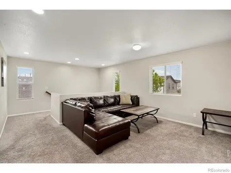 398 Chipman Drive Windsor CO 80550