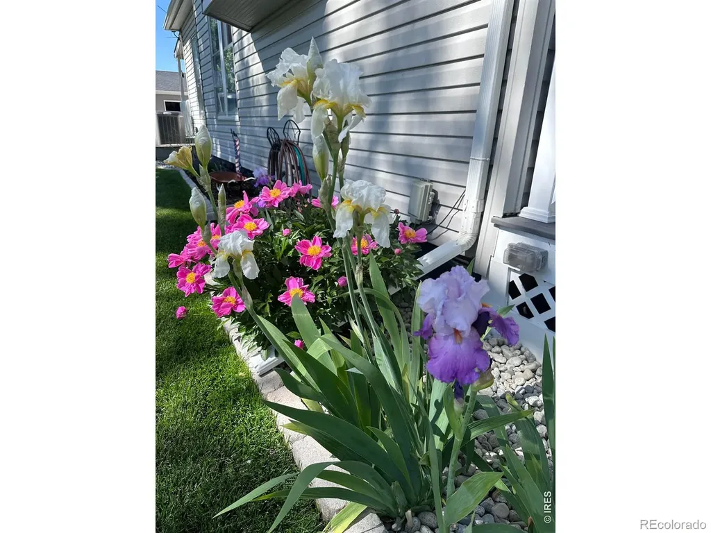 9916 County Road 48 1/2 Milliken CO 80543