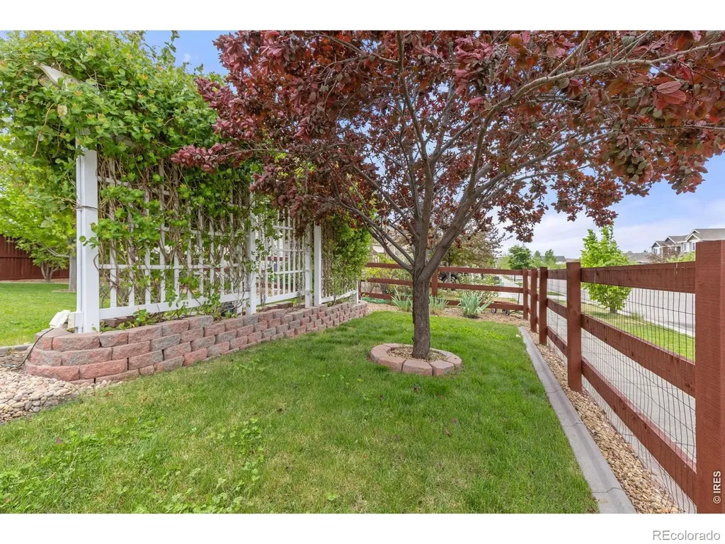 1531 New Season Drive Windsor CO 80550