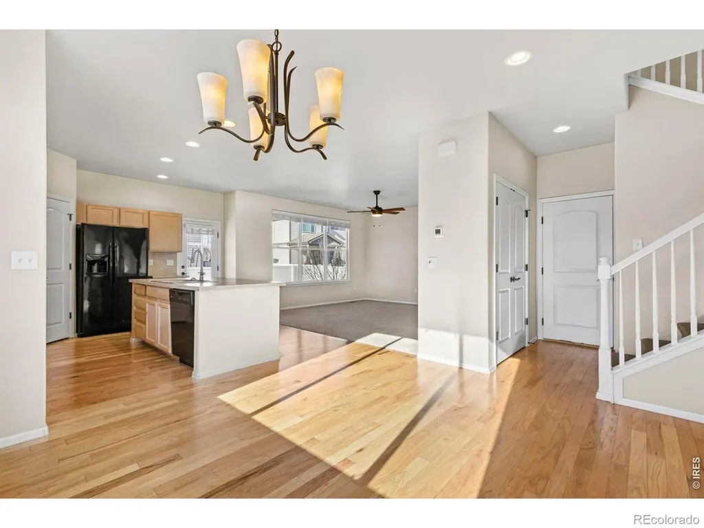 431 Ptarmigan Street Severance CO 80550
