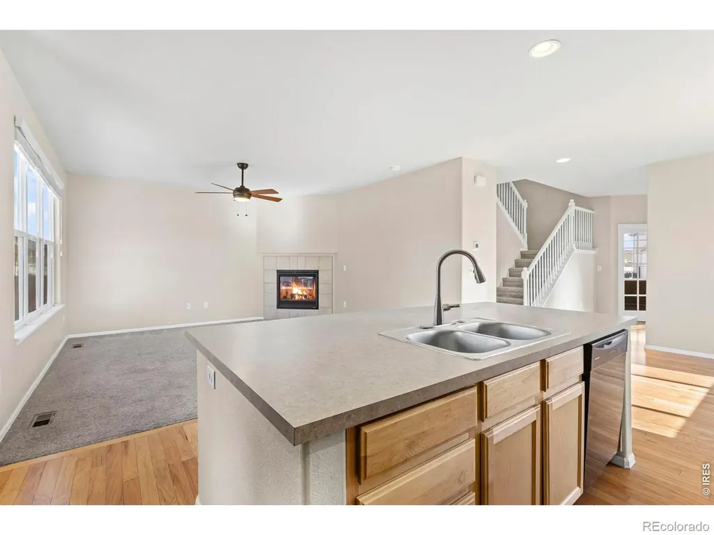 431 Ptarmigan Street Severance CO 80550