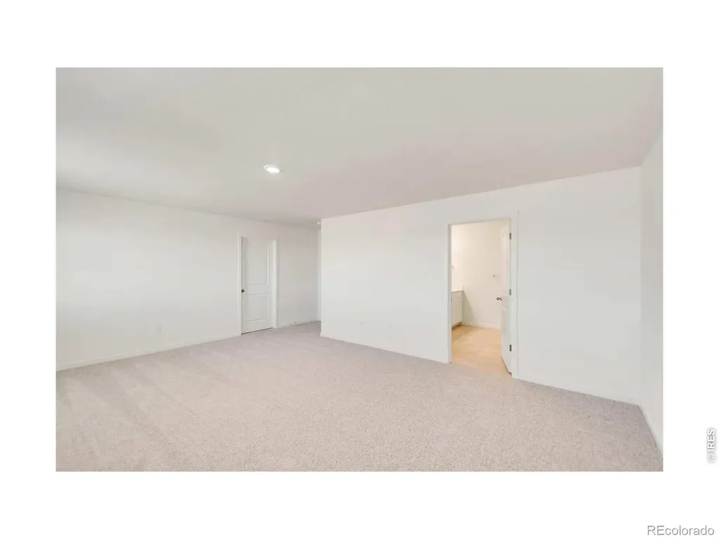 812 Trumpet Lane Windsor CO 80550