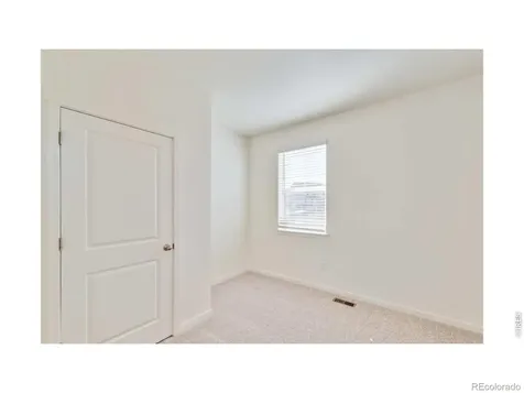 812 Trumpet Lane Windsor CO 80550