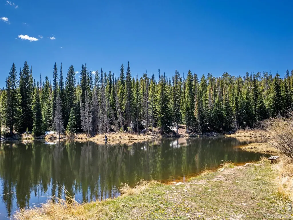 591 Tuscarora Way Red Feather Lakes CO 80545