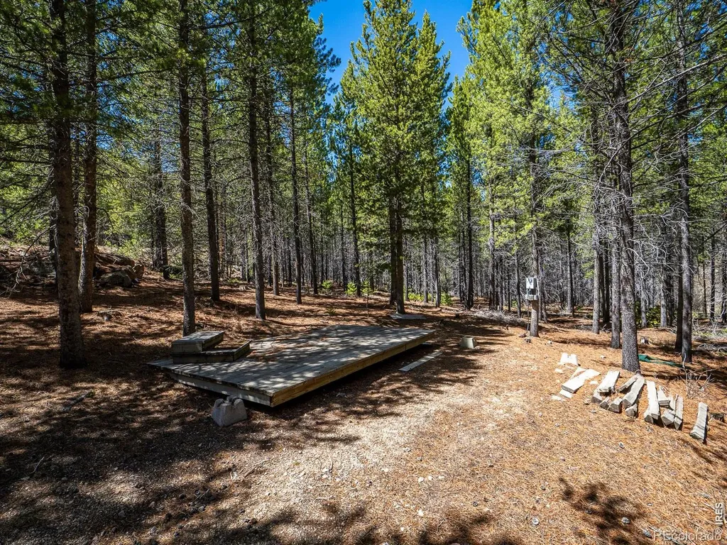 591 Tuscarora Way Red Feather Lakes CO 80545