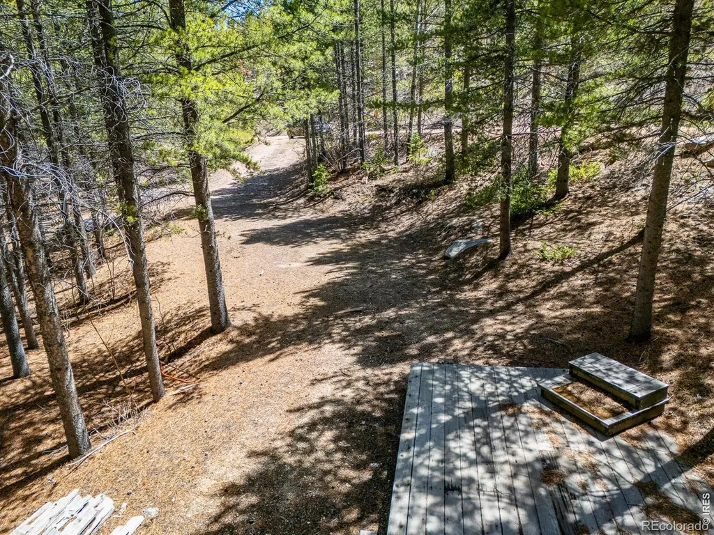 591 Tuscarora Way Red Feather Lakes CO 80545