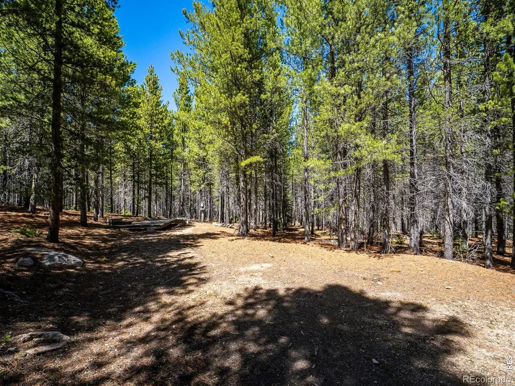 591 Tuscarora Way Red Feather Lakes CO 80545
