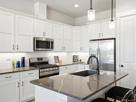 6241 Vernazza Way Windsor CO 80550