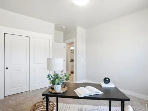 6241 Vernazza Way Windsor CO 80550