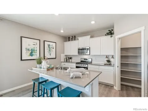 5684 Gelbray Place Windsor CO 80528