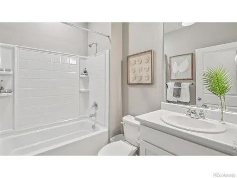 5684 Gelbray Place Windsor CO 80528