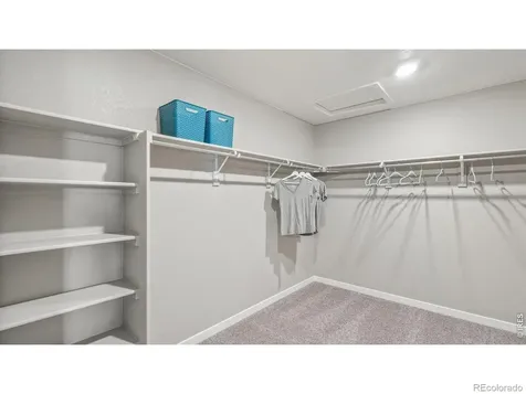 5684 Gelbray Place Windsor CO 80528