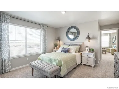 5684 Gelbray Place Windsor CO 80528