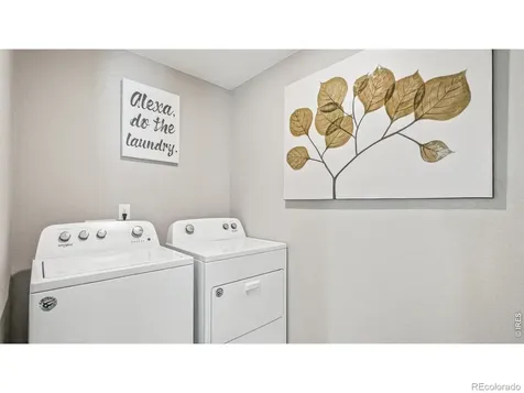 5684 Gelbray Place Windsor CO 80528