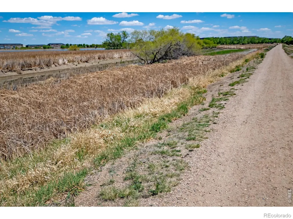 2059 Grays Peak Drive Loveland CO 80538