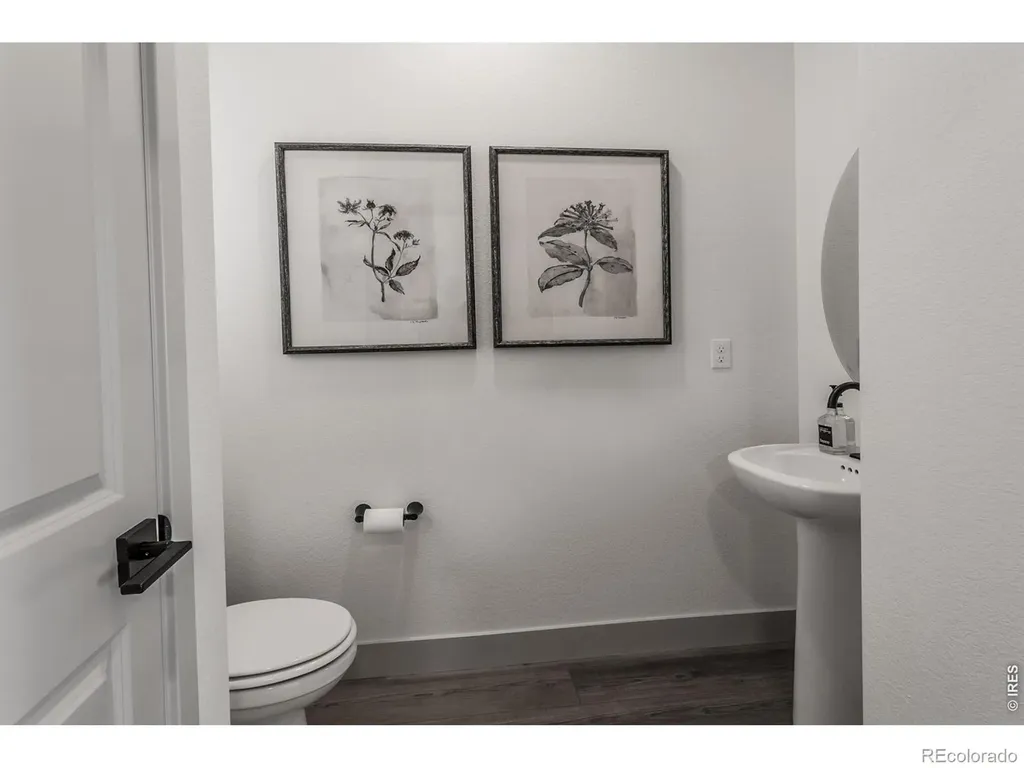 744 Trumpet Court Windsor CO 80550
