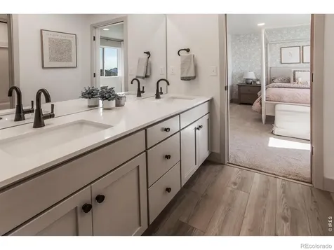 744 Trumpet Court Windsor CO 80550