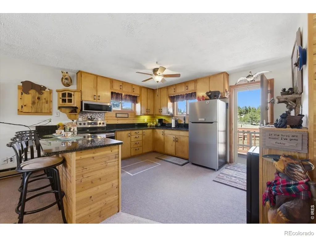 66 Walela Lane Red Feather Lakes CO 80545