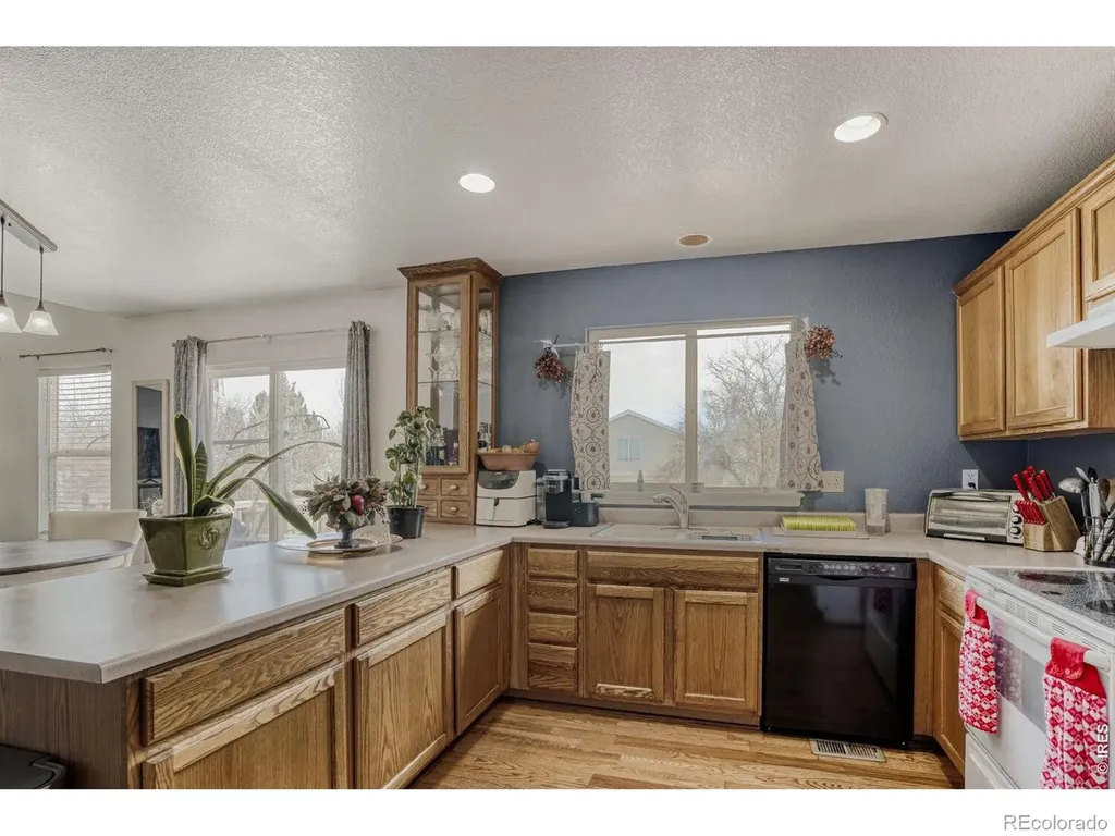 4228 E 94th Place Thornton CO 80229