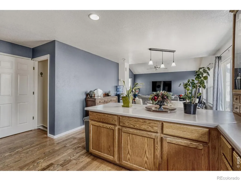 4228 E 94th Place Thornton CO 80229