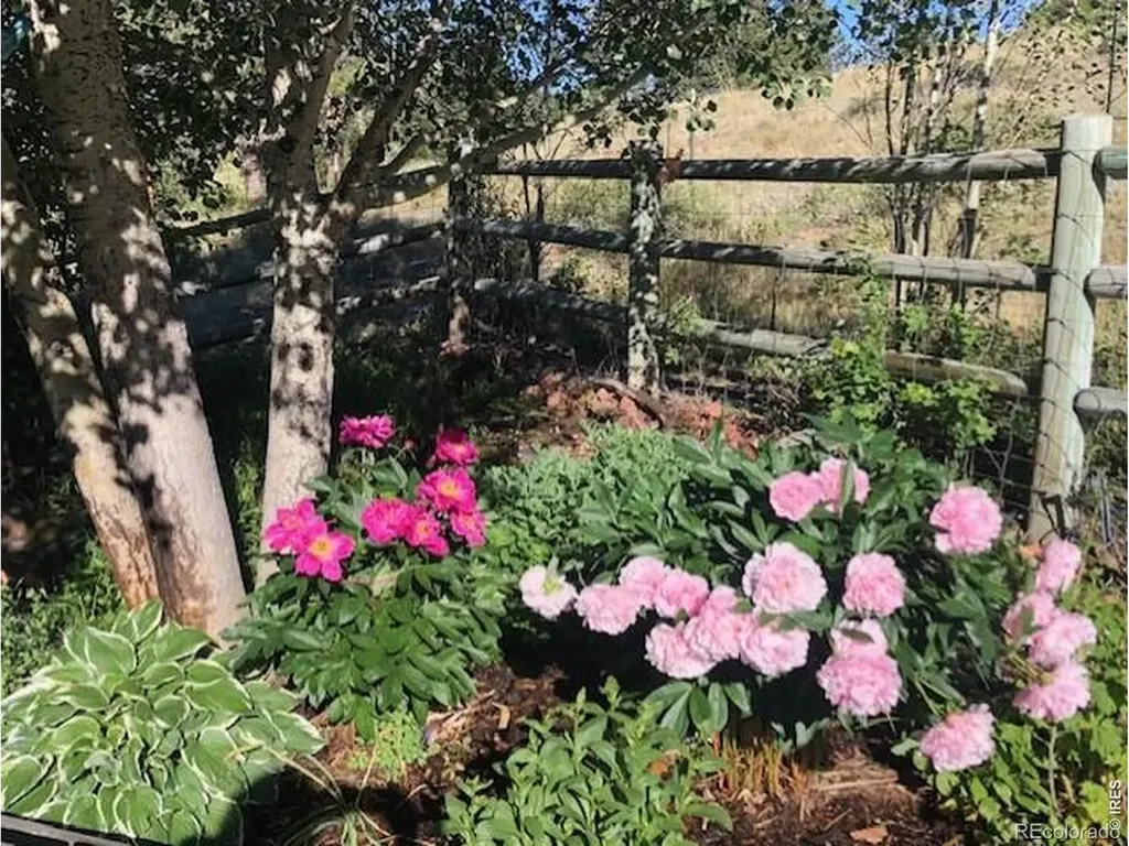 17284 W County Road 74e Red Feather Lakes CO 80545