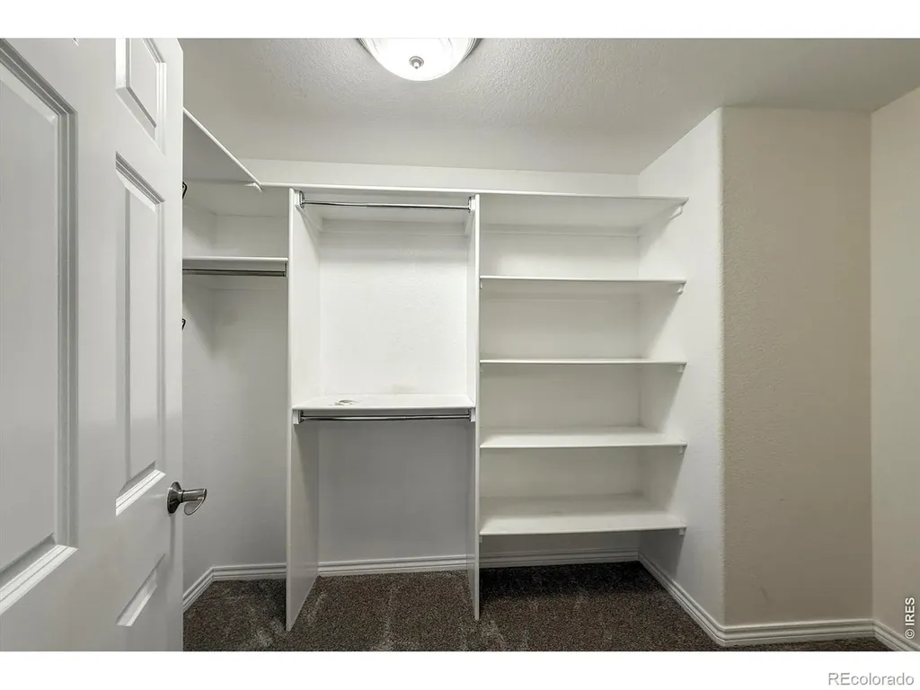1432 Turin Drive Longmont CO 80503
