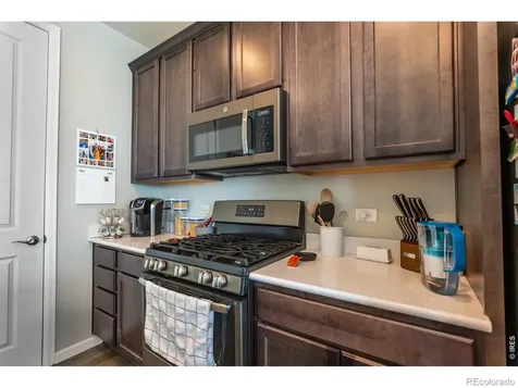 5319 Osbourne Drive Windsor CO 80550