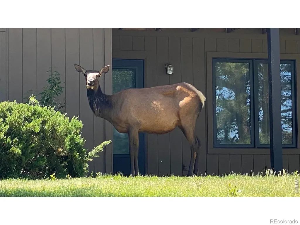 1141 Fairway Club Circle Estes Park CO 80517