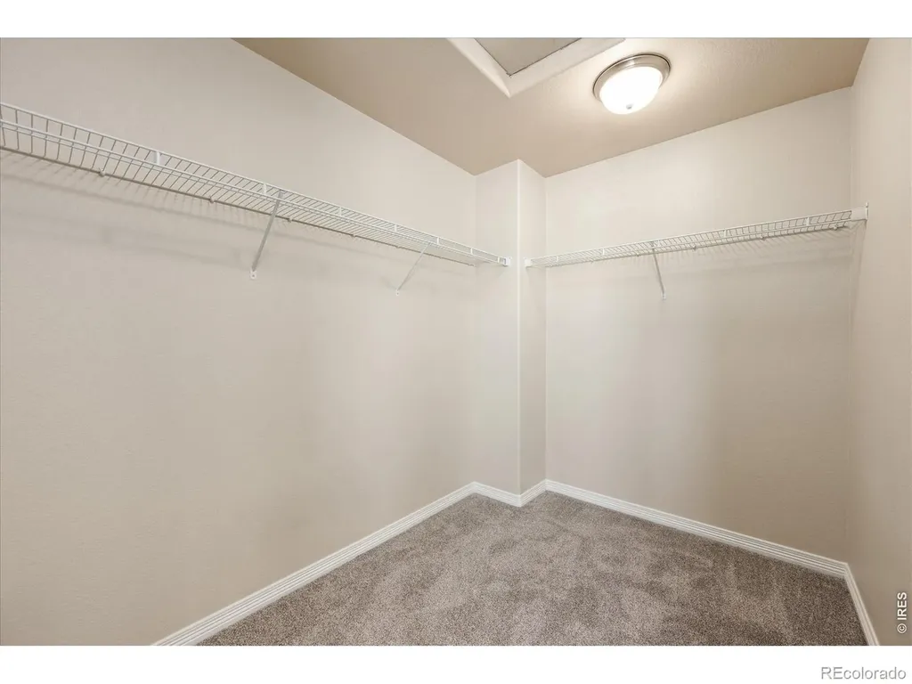 480 Wind River Drive Windsor CO 80550