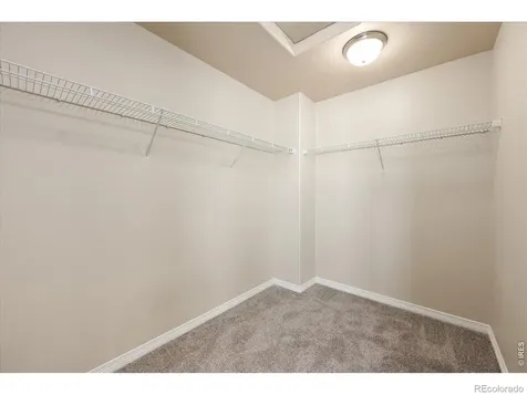 480 Wind River Drive Windsor CO 80550