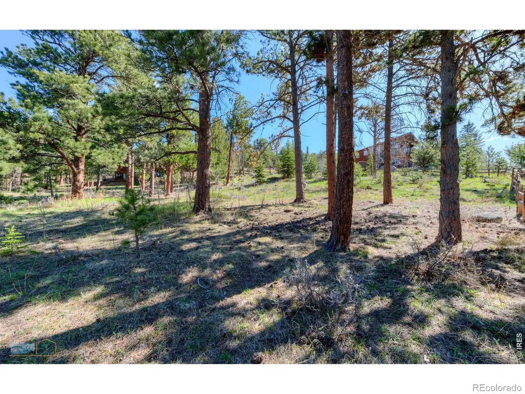 87 Sundance Circle Nederland CO 80466